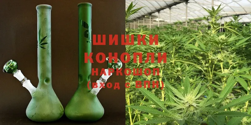 Бошки марихуана THC 21%  МЕГА сайт  Приволжск 